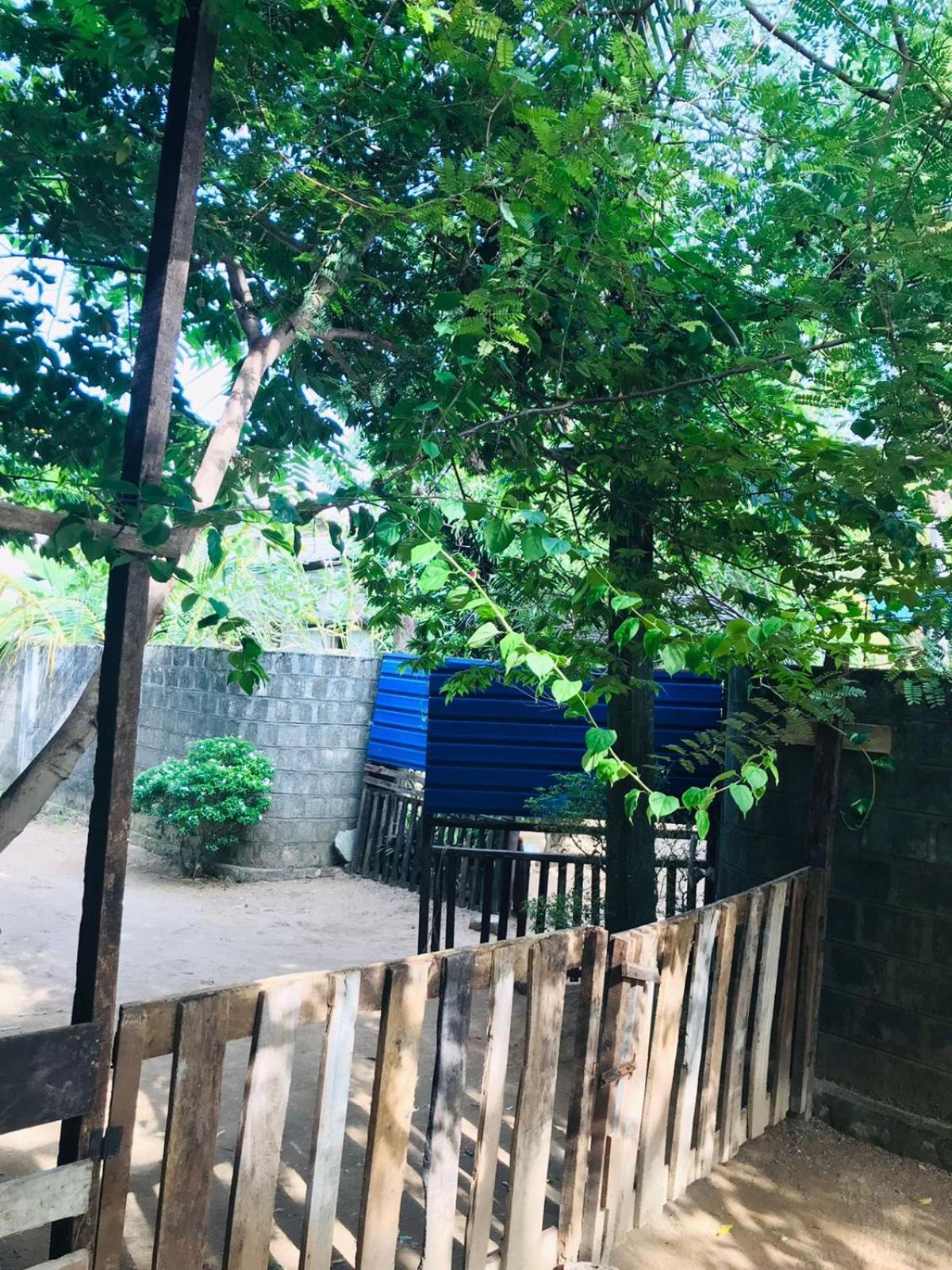 Walkers Hostel Тринкомале Екстериор снимка